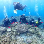 体験ダイビング