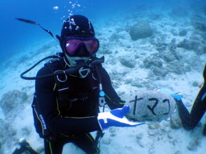 オープンウォーター取得