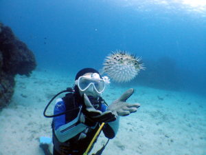 ケラマでライセンス講習