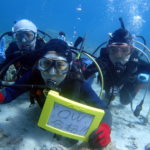 オープンウォーター取得