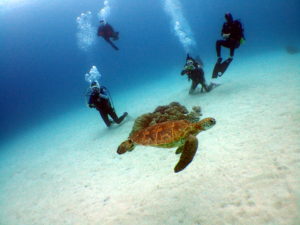 オープンウォーター講習２日目