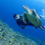 ファンダイビング