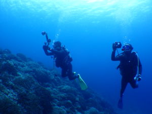 ケラマファンダイビング