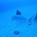 昨日から一転…