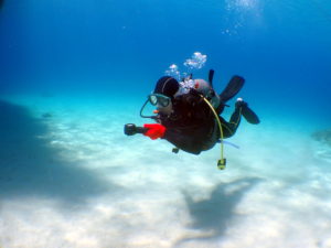 アドバンス取得