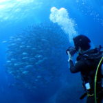 今シーズン初粟国島遠征