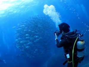 今シーズン初粟国島遠征