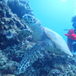 🐢NICE TO MEET YOU JOHNNY!!