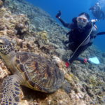 体験ダイビング