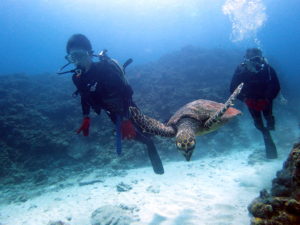 ずーっとついてきた(^^)