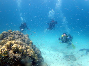 今年は変な天候だなぁ