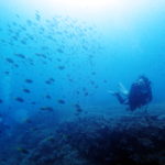 慶良間ファンダイビング