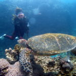 オープンウォーター取得