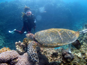 オープンウォーター取得