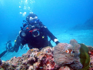 エンリッチＳＰ＆フォトダイブ