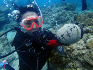 オープンウォーター取得