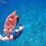 スキンダイビング