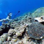 スキンダイビングな１日