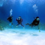 オープンウォーター取得