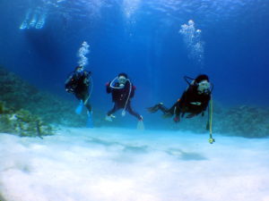 オープンウォーター取得