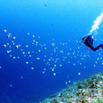 今年初！渡名喜遠征