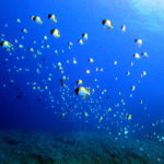 渡名喜遠征日決定！