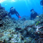 オープンウォーター取得