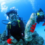 オープンウォーター取得