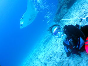 今日もいい天気