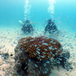 台風明け慶良間