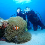 オープンウォーター取得