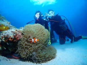 オープンウォーター取得