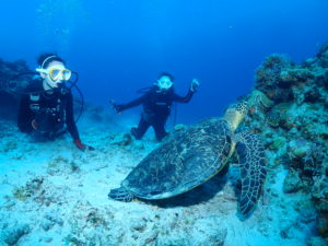 オープンウォーター取得