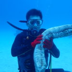 オープンウォーター取得