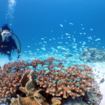 オープンウォーター講習