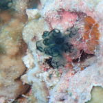 ニコニコ笑顔(^O^)