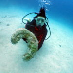 オープンウォーター取得