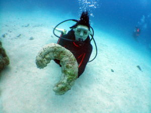 オープンウォーター取得