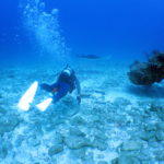 ファンダイビング