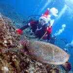 アドバンス取得