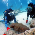 オープンウォーター取得