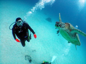 オープンウォーター取得