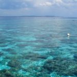 ボホールツアーご案内